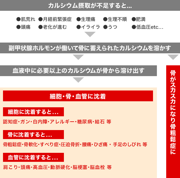 カルシウム摂取が不足すると…